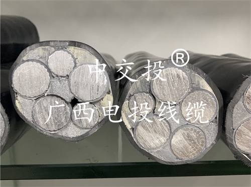 廣西電投線(xiàn)纜，中交投電纜。